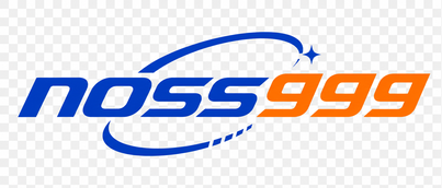 noss999